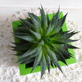 Osłonka Na Doniczkę Drewniany Pojemnik Na Zioła