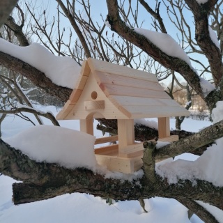 Karmnik Dla Ptaków Wiszący Drewniany Do Malowania